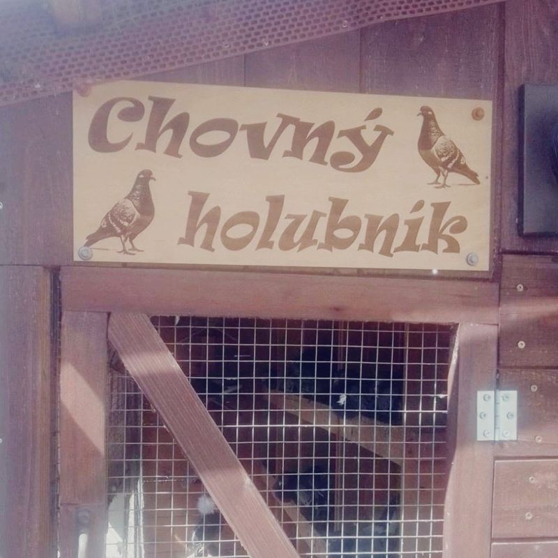 cedule na holubník