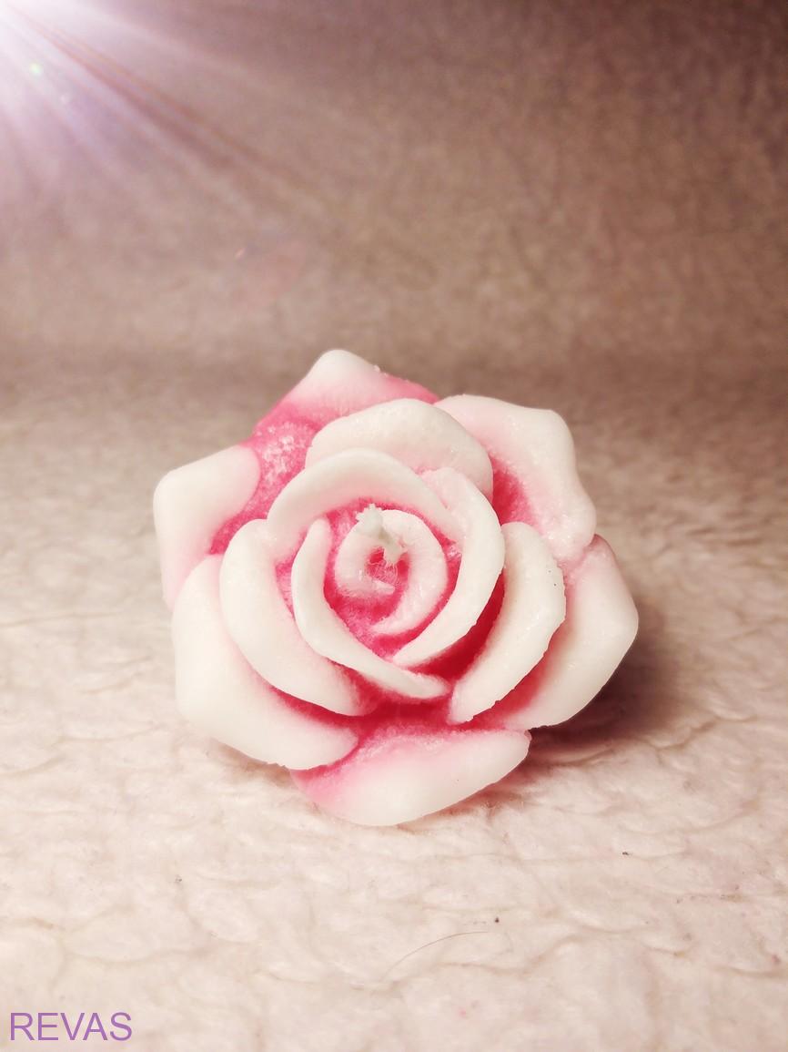 Svíčka růže rozkvetlá, průměr 5,5 cm