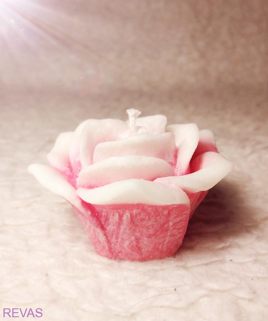 Svíčka růže rozkvetlá, průměr 5,5 cm
