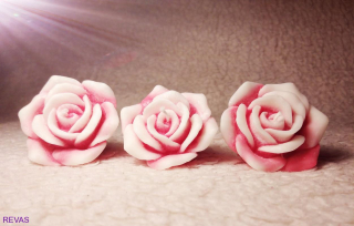 Svíčka růže rozkvetlá, průměr 5,5 cm